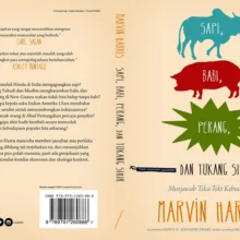 SAPI-BABI-Cover-2022