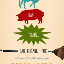 SAPI-BABI-FCover-2022