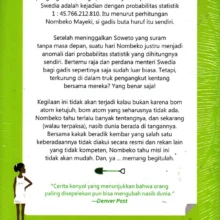 The-Girl-who-saved-the-king-of-Sweden-BCover The-Girl-who-saved-the-king-of-Sweden-BCover