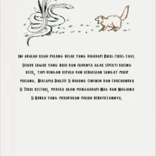 RIKKI TIKKI TAVI-BC-LOW RIKKI TIKKI TAVI-BC-LOW