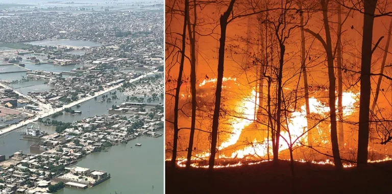 Korporasi menyiksa manusia