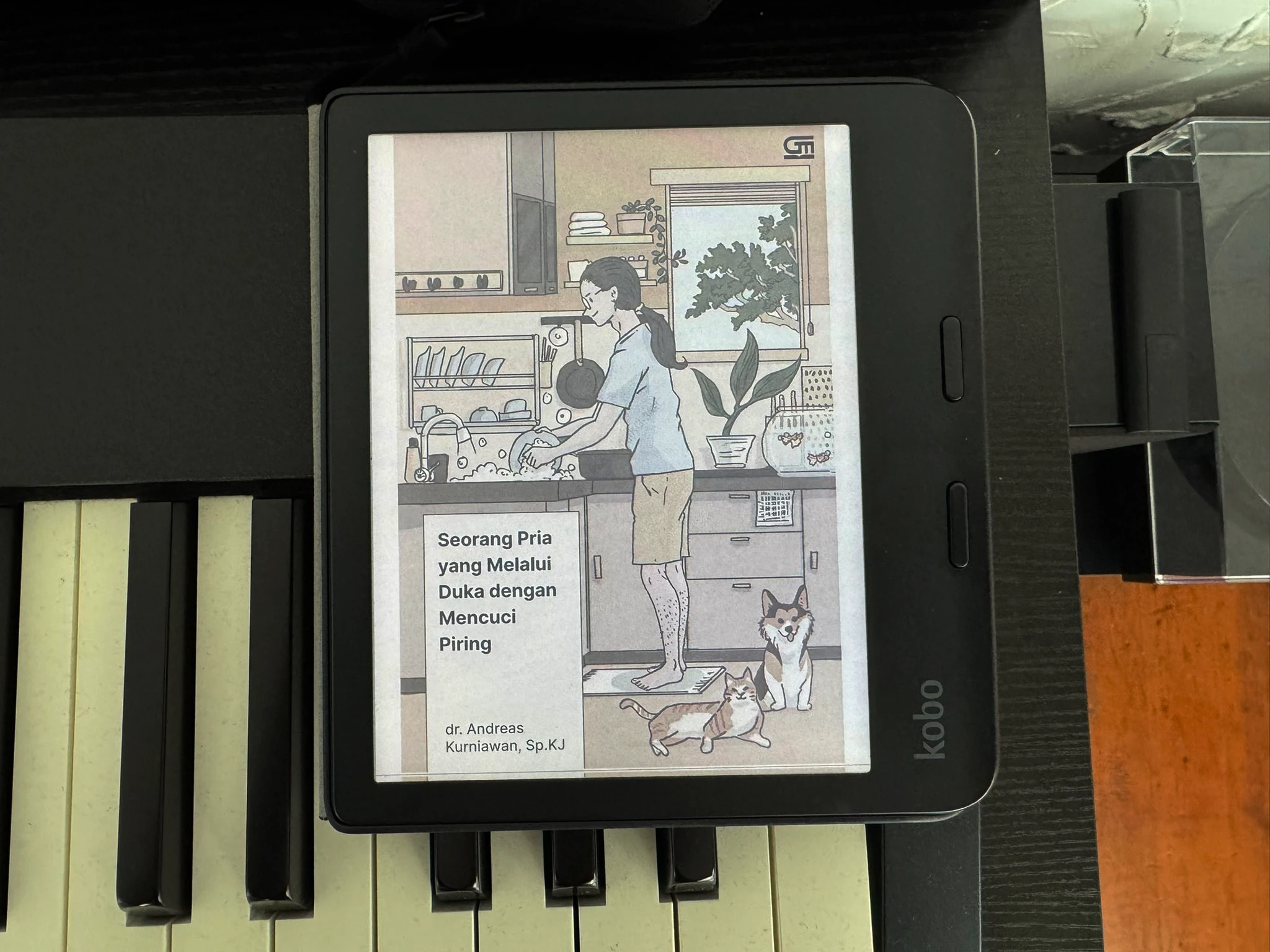 Buku seorang pria Buku seorang pria