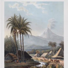 Max-Havelaar-Kakatua Max-Havelaar-Kakatua